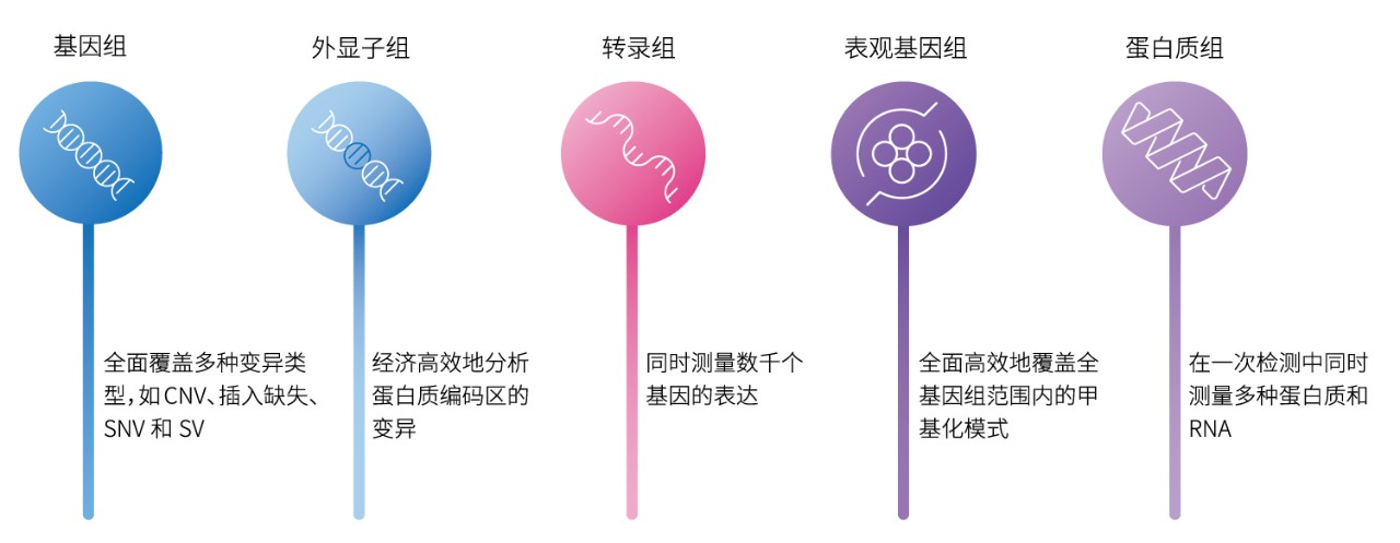 多组学在药物开发中的潜力-NGS和基于芯片的方法使全基因组、外显子组、转录组、表观基因组和蛋白质组的联合分析贯穿于可能提高疗效的新药的整个开发过程。